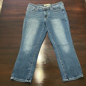 BKE Jeans Payton Universal Fit Mid Rise Women’s 30 Blue Denim